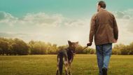 After Life | Image Source: Netflix